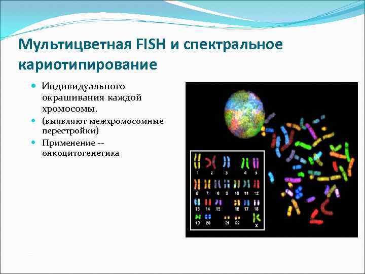 Мультицветная FISH и спектральное кариотипирование Индивидуального окрашивания каждой хромосомы. (выявляют межхромосомные перестройки) Применение -онкоцитогенетика