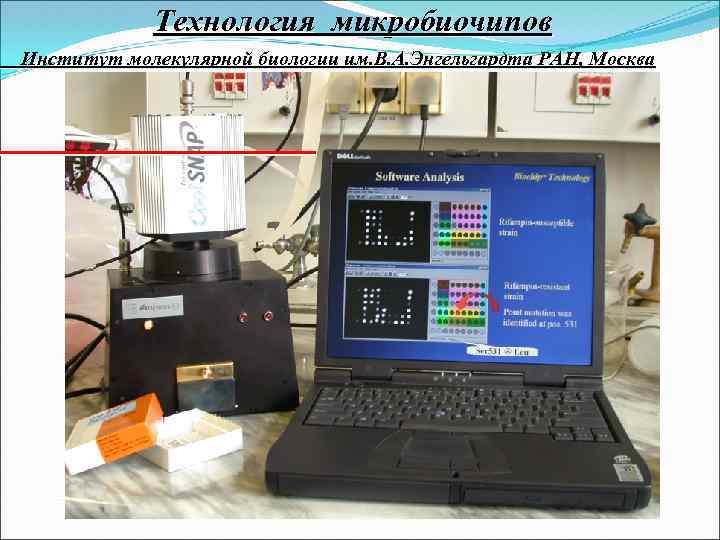 Технология микробиочипов Институт молекулярной биологии им. В. А. Энгельгардта РАН, Москва 
