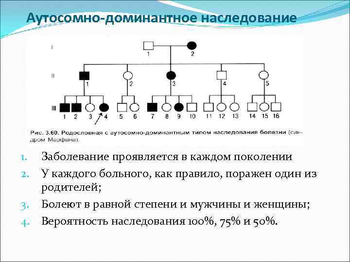 Аутосомно-доминантное наследование Заболевание проявляется в каждом поколении У каждого больного, как правило, поражен один