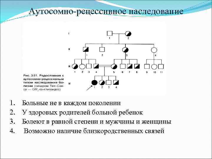 Аутосомно-рецессивное наследование 1. Больные не в каждом поколении 2. У здоровых родителей больной ребенок