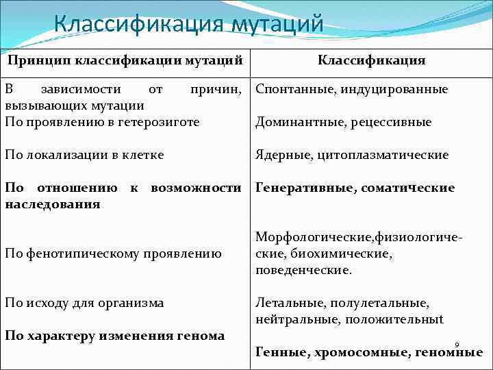 Классификация мутаций Принцип классификации мутаций Классификация В зависимости от причин, Спонтанные, индуцированные вызывающих мутации