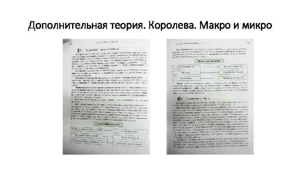 Дополнительная теория. Королева. Макро и микро 