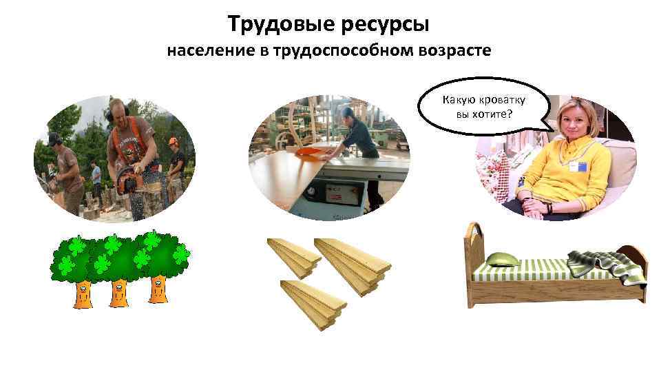 Трудовые ресурсы население в трудоспособном возрасте Какую кроватку вы хотите? 