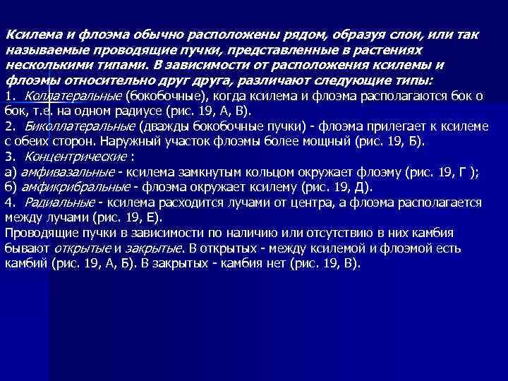 Ксилема и флоэма обычно расположены рядом, образуя слои, или так называемые проводящие пучки, представленные