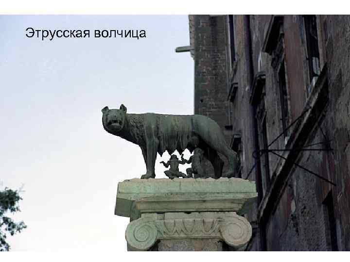 Этрусская волчица 