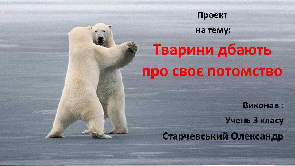 Проект на тему: Тварини дбають про своє потомство Виконав : Учень 3 класу Cтарчевський