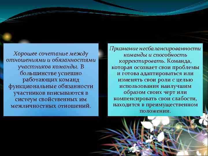 Хорошее сочетание между отношениями и обязанностями участников команды. В большинстве успешно работающих команд функциональные