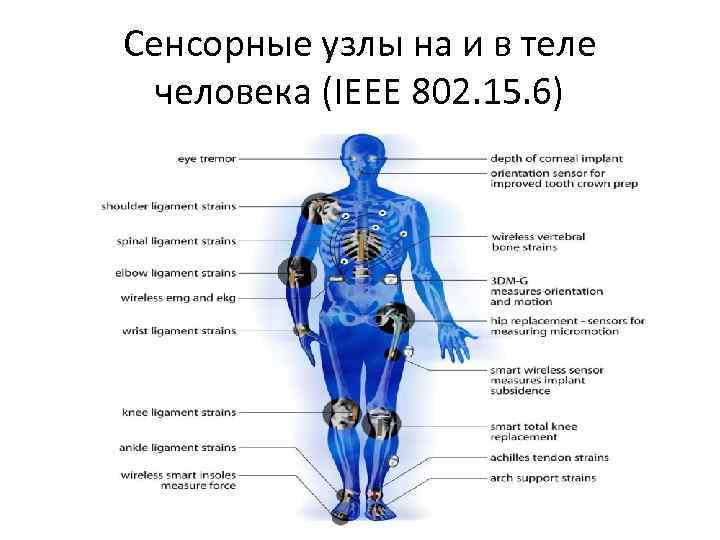 Сенсорные узлы на и в теле человека (IEEE 802. 15. 6) 