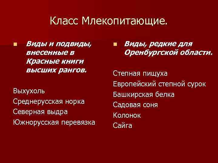 Класс Млекопитающие. n Виды и подвиды, внесенные в Красные книги высших рангов. Выхухоль Среднерусская