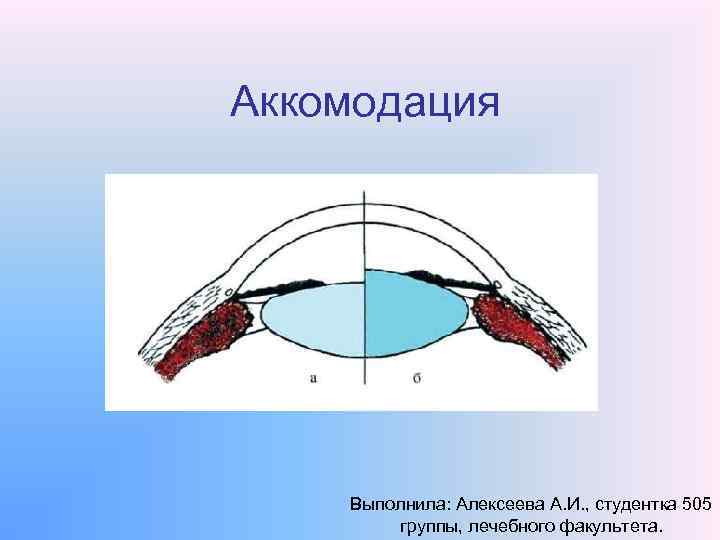 Аккомодация Выполнила: Алексеева А. И. , студентка 505 группы, лечебного факультета. 