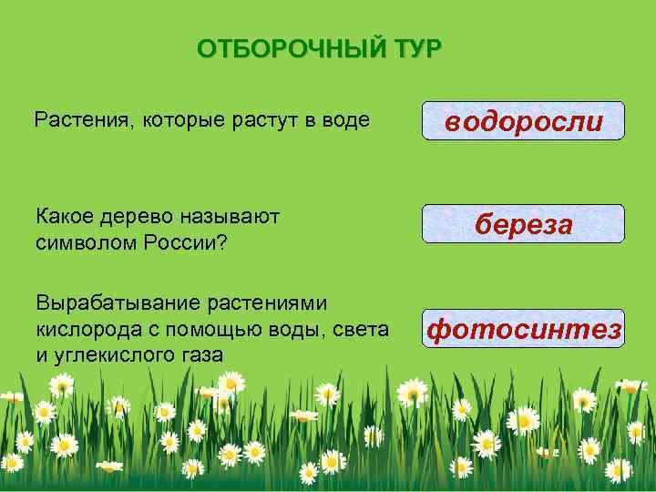 ОТБОРОЧНЫЙ ТУР Растения, которые растут в воде Какое дерево называют символом России? Вырабатывание растениями