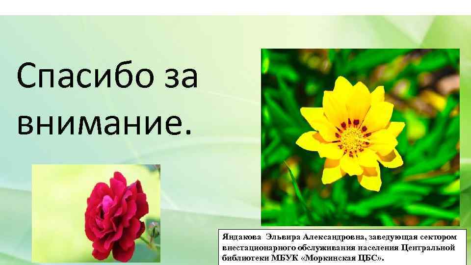 Спасибо за внимание. Яндакова Эльвира Александровна, заведующая сектором внестационарного обслуживания населения Центральной библиотеки МБУК