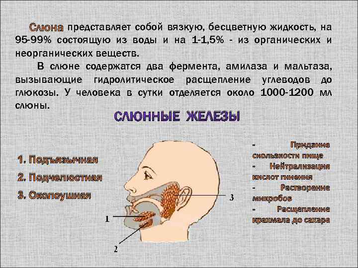 представляет собой вязкую, бесцветную жидкость, на 95 -99% состоящую из воды и на 1