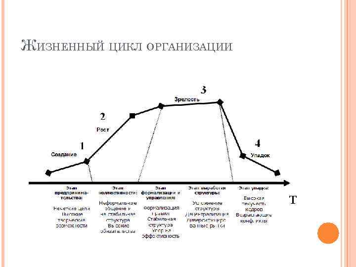 Концепция жизненного цикла