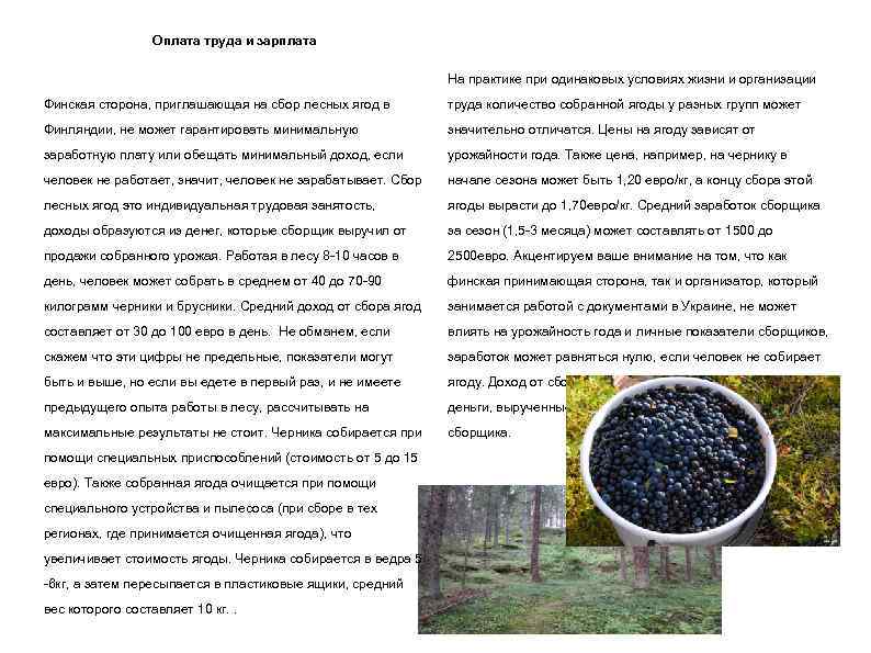 Оплата труда и зарплата На практике при одинаковых условиях жизни и организации Финская сторона,