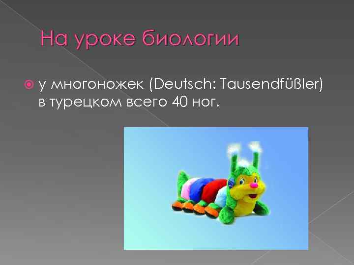 На уроке биологии у многоножек (Deutsch: Tausendfüßler) в турецком всего 40 ног. 