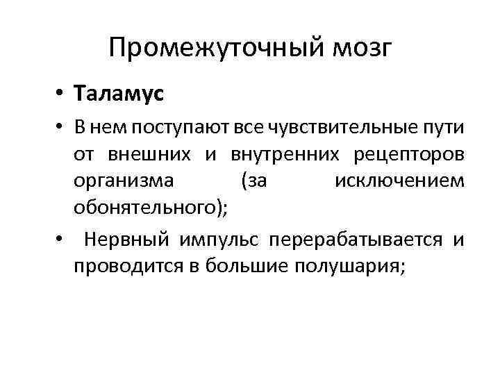 Промежуточный мозг • Таламус • В нем поступают все чувствительные пути от внешних и