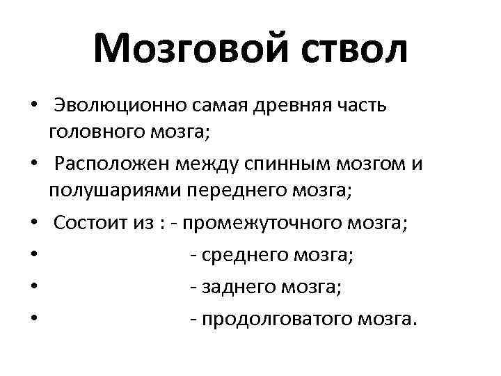 Мозговой ствол • Эволюционно самая древняя часть головного мозга; • Расположен между спинным мозгом