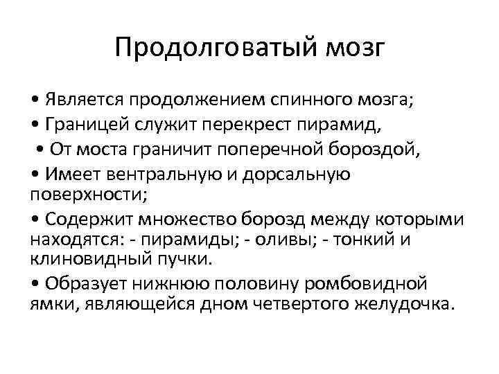 Продолговатый мозг • Является продолжением спинного мозга; • Границей служит перекрест пирамид, • От