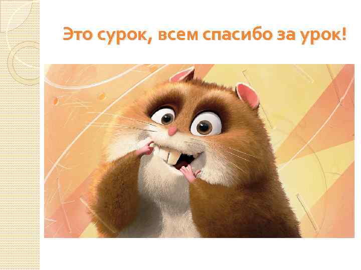 Это сурок, всем спасибо за урок! 