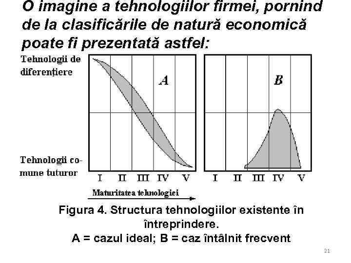 O imagine a tehnologiilor firmei, pornind de la clasificările de natură economică poate fi