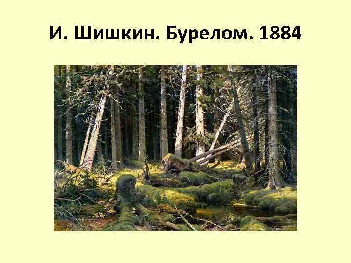 И. Шишкин. Бурелом. 1884 