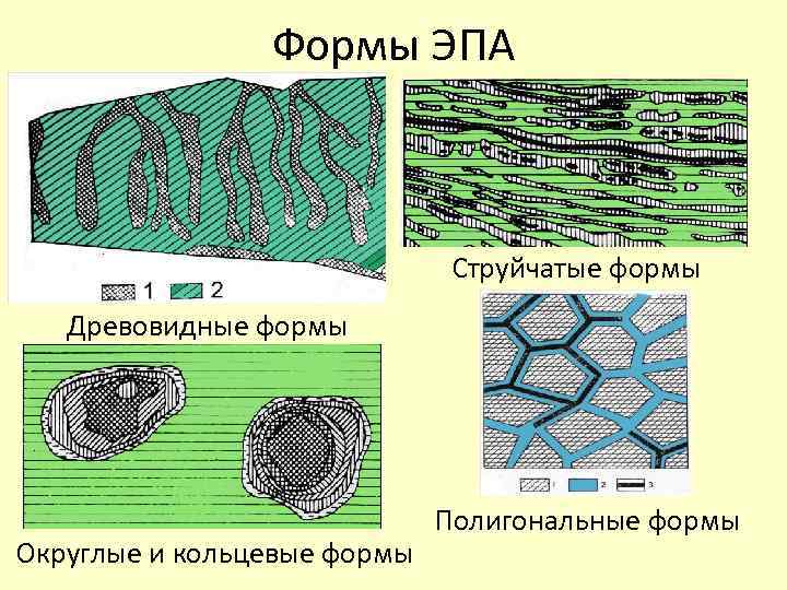 Формы ЭПА Струйчатые формы Древовидные формы Округлые и кольцевые формы Полигональные формы 