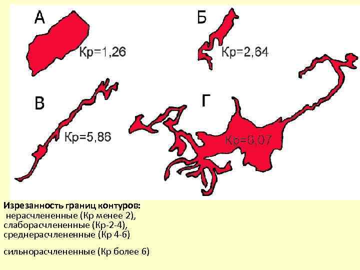 Изрезанность границ контуров: нерасчлененные (Кр менее 2), слаборасчлененные (Кр-2 -4), среднерасчлененные (Кр 4 -6)
