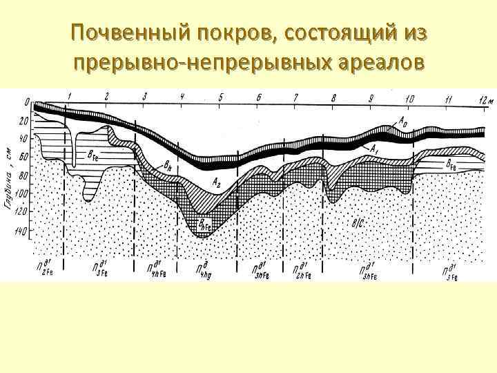 Почвенный покров, состоящий из прерывно-непрерывных ареалов 