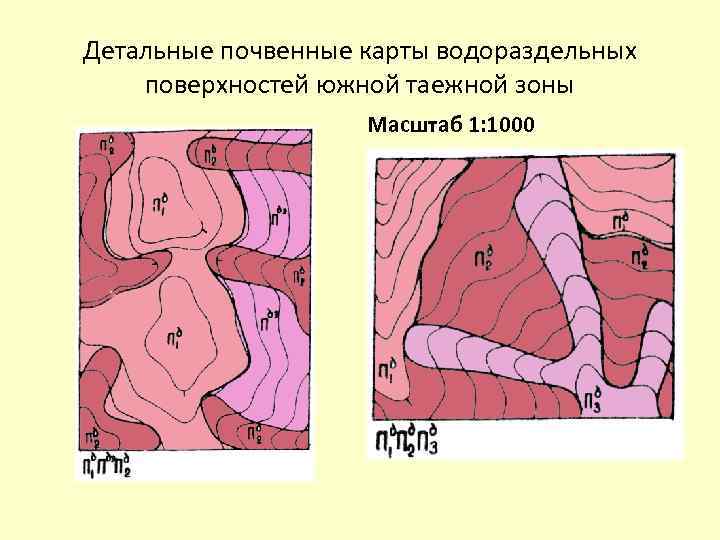 Детальные почвенные карты водораздельных поверхностей южной таежной зоны Масштаб 1: 1000 