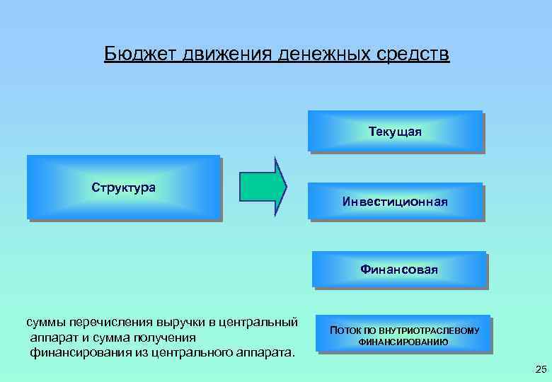 Бюджет движения денежных средств Текущая Структура Инвестиционная Финансовая суммы перечисления выручки в центральный аппарат