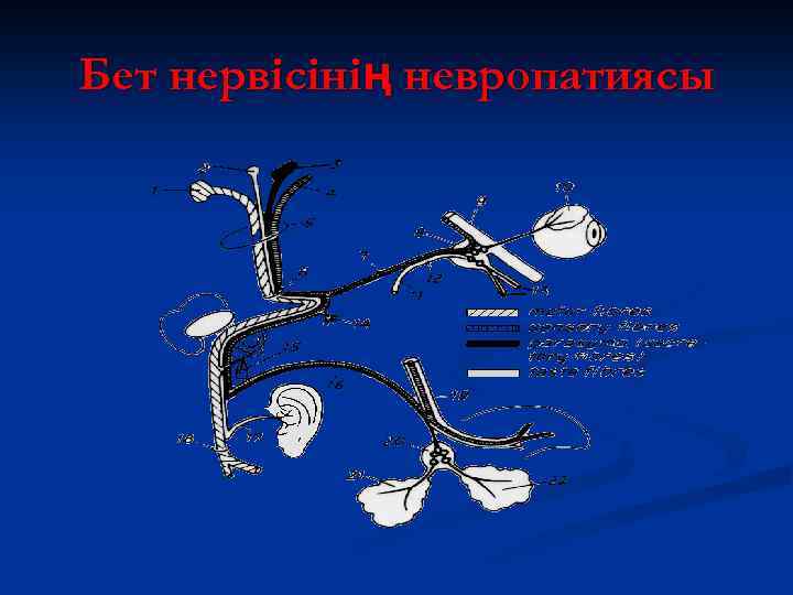 Бет нервісінің невропатиясы 