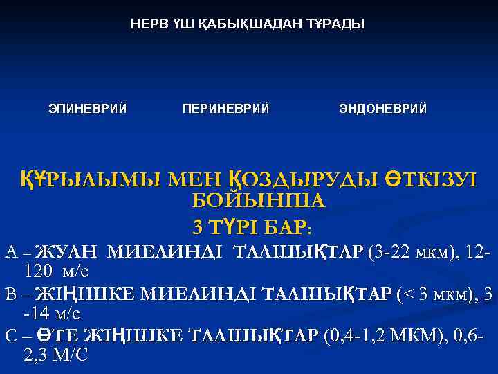 НЕРВ ҮШ ҚАБЫҚШАДАН ТҰРАДЫ ЭПИНЕВРИЙ ПЕРИНЕВРИЙ ЭНДОНЕВРИЙ ҚҰРЫЛЫМЫ МЕН ҚОЗДЫРУДЫ ӨТКІЗУІ БОЙЫНША 3 ТҮРІ