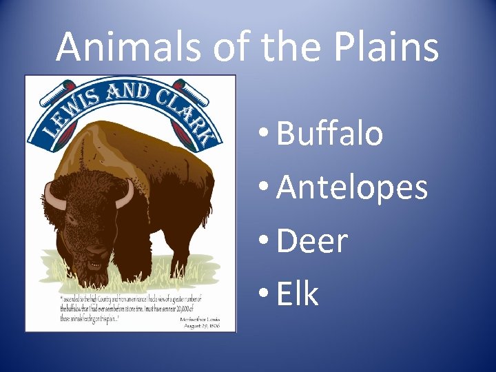 Animals of the Plains • Buffalo • Antelopes • Deer • Elk 