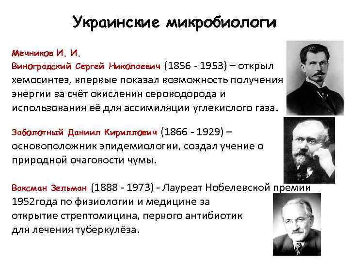 Украинские микробиологи Мечников И. И. Виноградский Сергей Николаевич (1856 - 1953) – открыл хемосинтез,