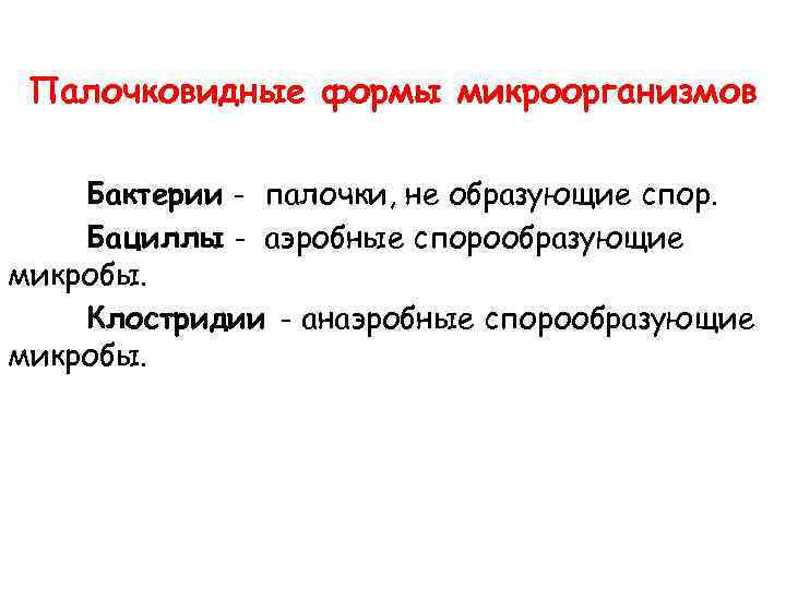 Палочковидные формы микроорганизмов Бактерии - палочки, не образующие спор. Бациллы - аэробные спорообразующие микробы.