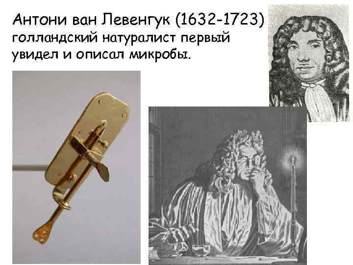 Антони ван Левенгук (1632 -1723) голландский натуралист первый увидел и описал микробы. 