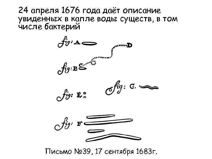24 апреля 1676 года даёт описание увиденных в капле воды существ, в том числе