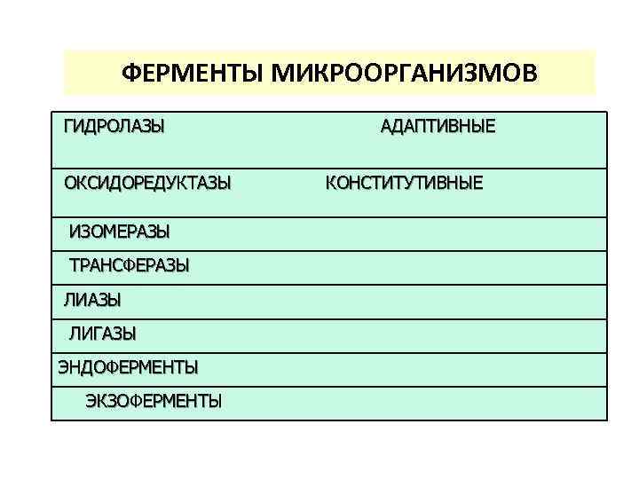 ФЕРМЕНТЫ МИКРООРГАНИЗМОВ ГИДРОЛАЗЫ ОКСИДОРЕДУКТАЗЫ ИЗОМЕРАЗЫ ТРАНСФЕРАЗЫ ЛИГАЗЫ ЭНДОФЕРМЕНТЫ ЭКЗОФЕРМЕНТЫ АДАПТИВНЫЕ КОНСТИТУТИВНЫЕ 