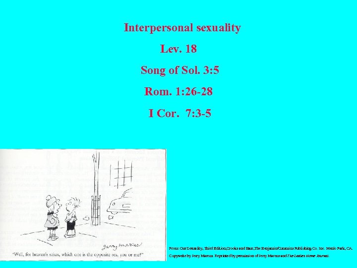  Interpersonal sexuality Lev. 18 Song of Sol. 3: 5 Rom. 1: 26 -28