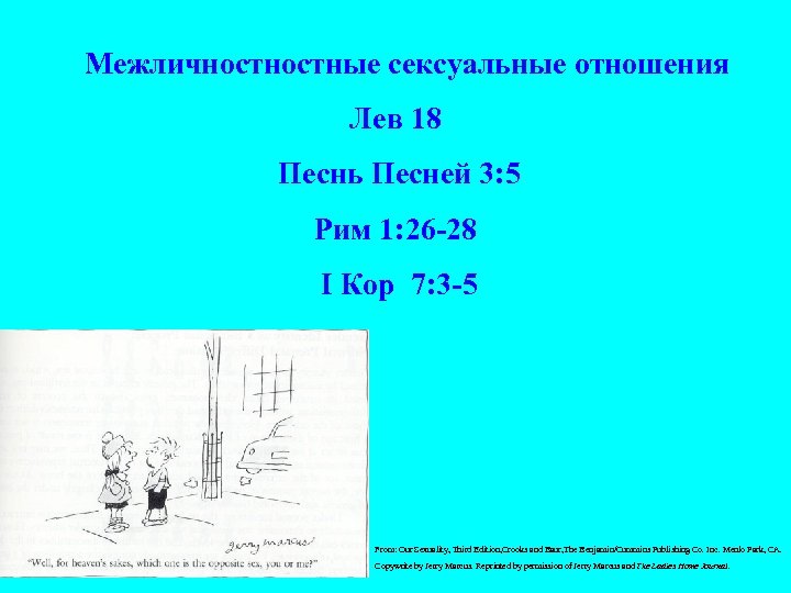  Межличностные сексуальные отношения Лев 18 Песнь Песней 3: 5 Рим 1: 26 -28