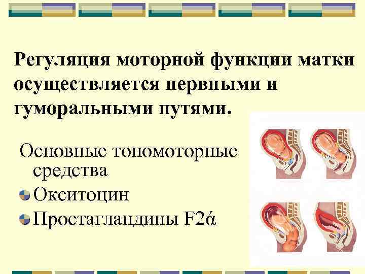 Регуляция моторной функции матки осуществляется нервными и гуморальными путями. Основные тономоторные средства Окситоцин Простагландины