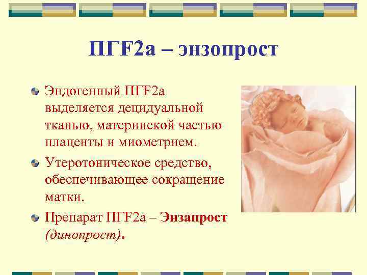 ПГF 2 а – энзопрост Эндогенный ПГF 2 а выделяется децидуальной тканью, материнской частью