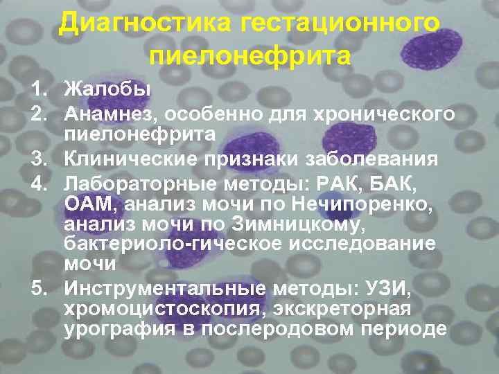 Диагностика гестационного пиелонефрита 1. Жалобы 2. Анамнез, особенно для хронического пиелонефрита 3. Клинические признаки