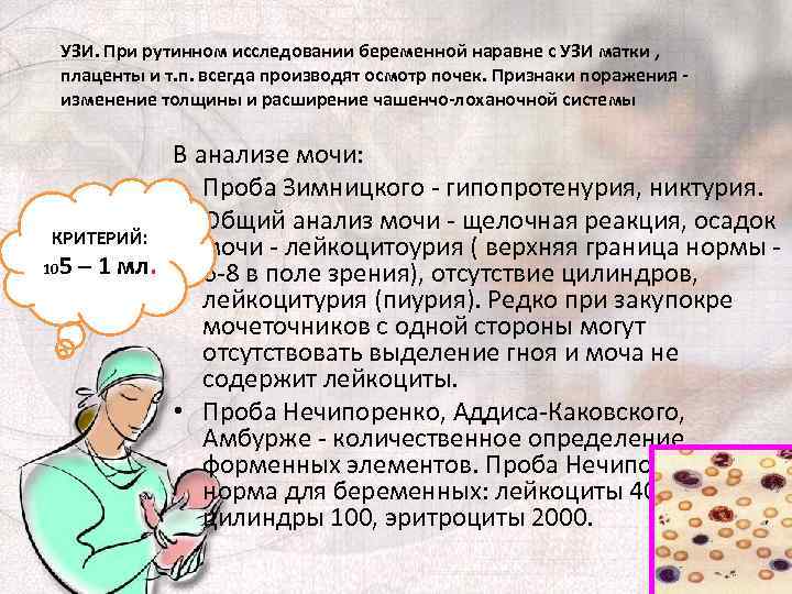 УЗИ. При рутинном исследовании беременной наравне с УЗИ матки , плаценты и т. п.