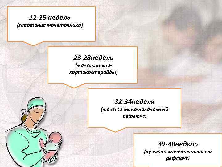 12 -15 недель (гипотония мочеточника) 23 -28 недель (максимальнокортикостеройды) 32 -34 неделя (мочеточнико-лоханочный рефлюкс)