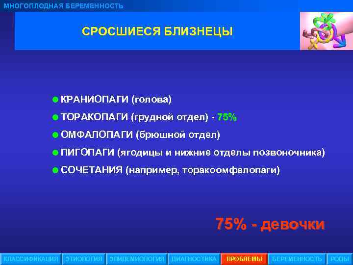 МНОГОПЛОДНАЯ БЕРЕМЕННОСТЬ СРОСШИЕСЯ БЛИЗНЕЦЫ =КРАНИОПАГИ (голова) =ТОРАКОПАГИ (грудной отдел) - 75% =ОМФАЛОПАГИ (брюшной отдел)