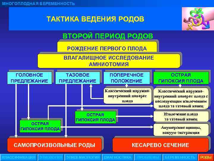 МНОГОПЛОДНАЯ БЕРЕМЕННОСТЬ ТАКТИКА ВЕДЕНИЯ РОДОВ ВТОРОЙ ПЕРИОД РОДОВ РОЖДЕНИЕ ПЕРВОГО ПЛОДА ВЛАГАЛИЩНОЕ ИССЛЕДОВАНИЕ АМНИОТОМИЯ