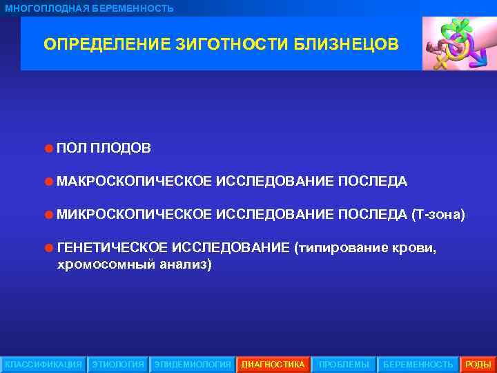 МНОГОПЛОДНАЯ БЕРЕМЕННОСТЬ ОПРЕДЕЛЕНИЕ ЗИГОТНОСТИ БЛИЗНЕЦОВ =ПОЛ ПЛОДОВ =МАКРОСКОПИЧЕСКОЕ ИССЛЕДОВАНИЕ ПОСЛЕДА =МИКРОСКОПИЧЕСКОЕ ИССЛЕДОВАНИЕ ПОСЛЕДА (Т-зона)