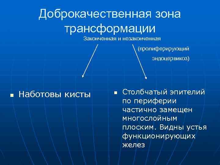 Доброкачественная зона трансформации Законченная и незаконченная (пролиферирующий эндоцервикоз) n Наботовы кисты n Столбчатый эпителий